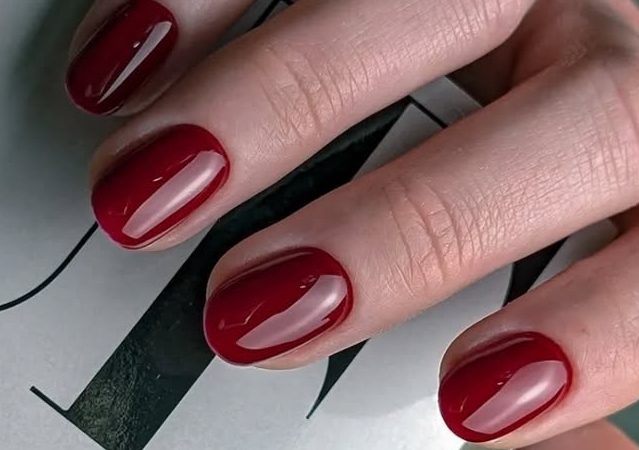 𝐒𝐡𝐨𝐫𝐭 (𝐒𝐨𝐥𝐢𝐝 𝐆𝐞𝐥 𝐂𝐨𝐥𝐨𝐫) 