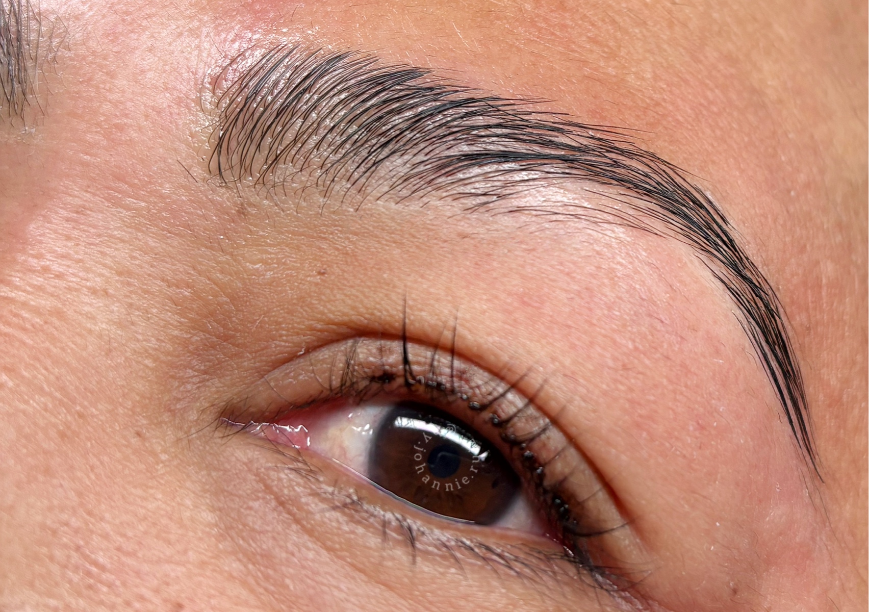 Brow Lamination+Wax|Laminación+Depilación de Cejas
