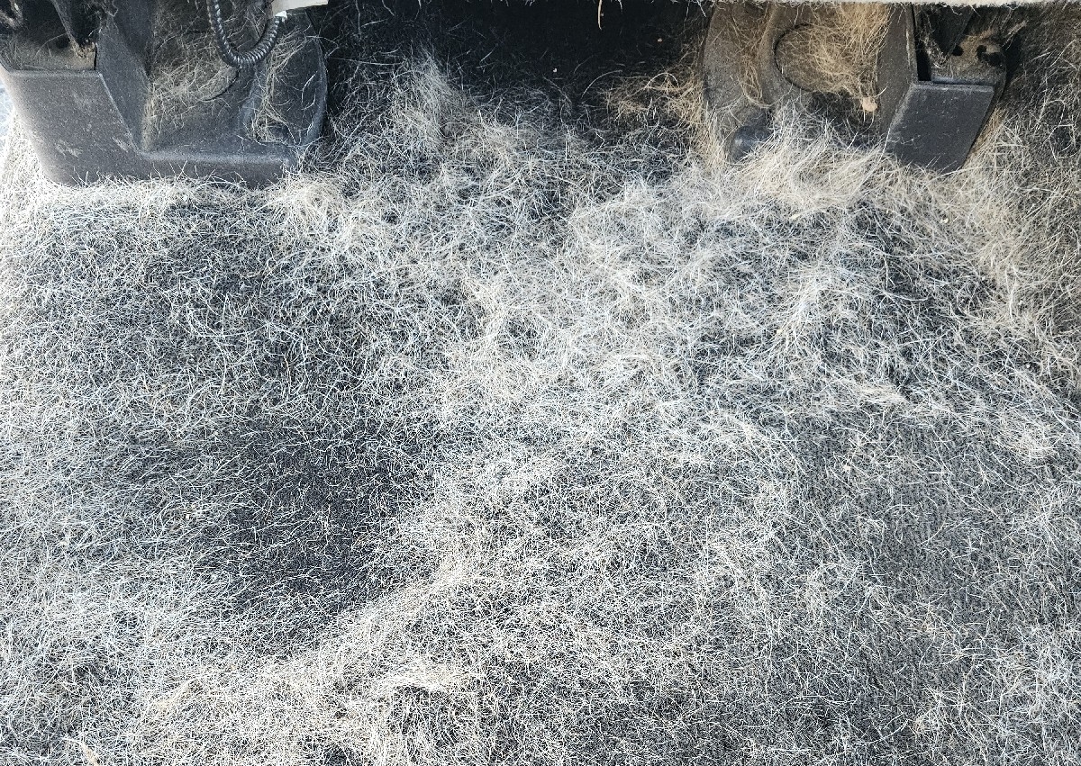 Significant dog/cat hair removal