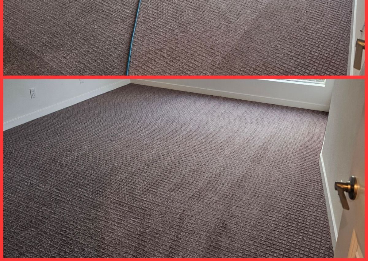 carpet cleaning  1 room🏡🫧