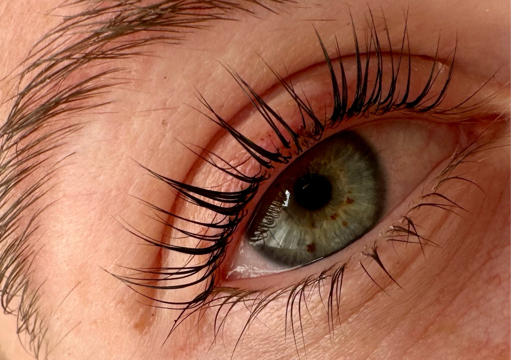 Lash Lift & tint + brow lamination + tint SAVE $40