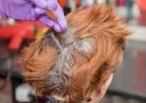 All over color (short hair - above chin)