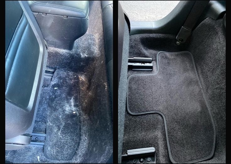 Remoción de pelo de mascota