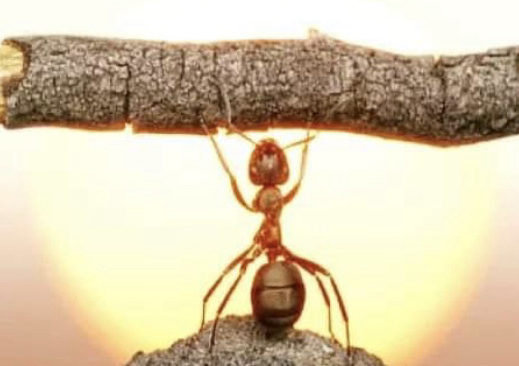 Acupuncture & Massage (first session)