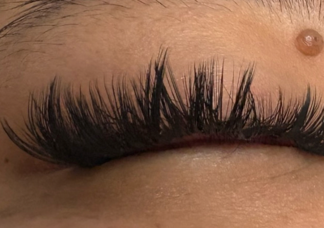 Lash Clusters 