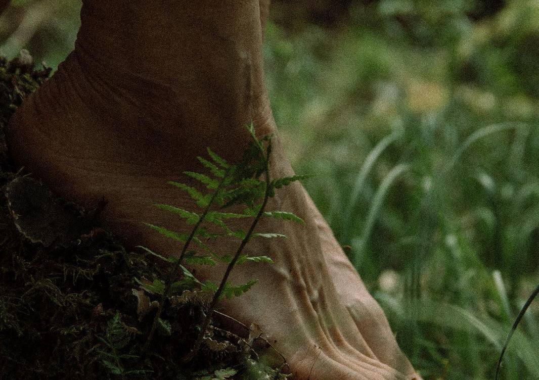 The Path - A forest themed reflexology ritual