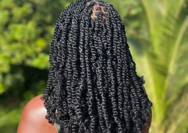 Afro Kinky Twists
