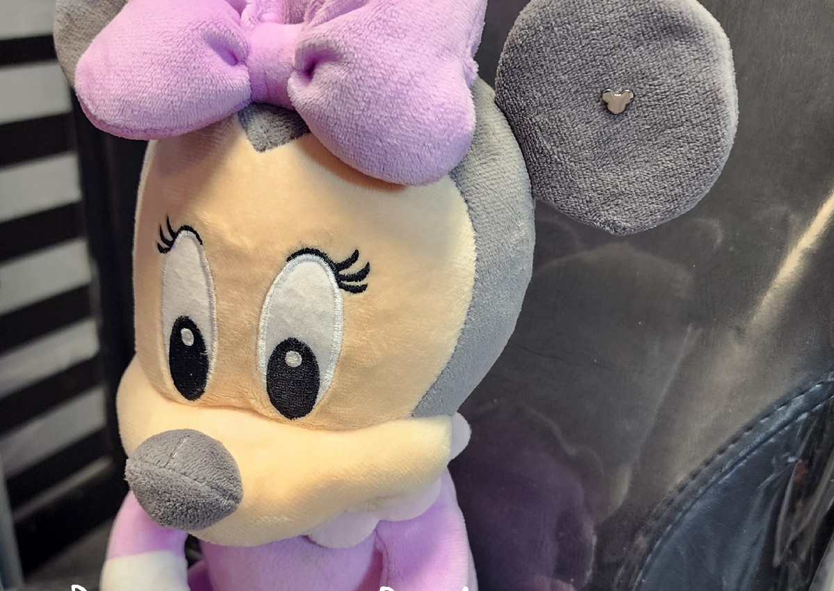 Companion piercing 🐻