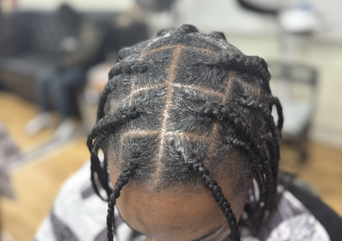 Single braids (natural hair)