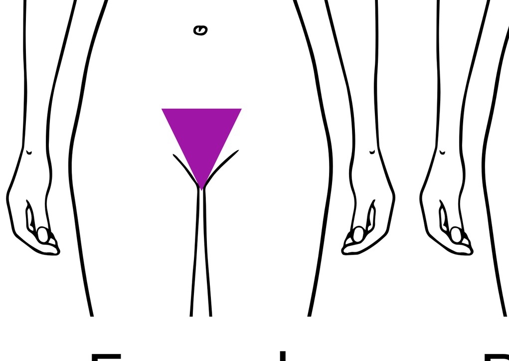 Waxing bikini estandar