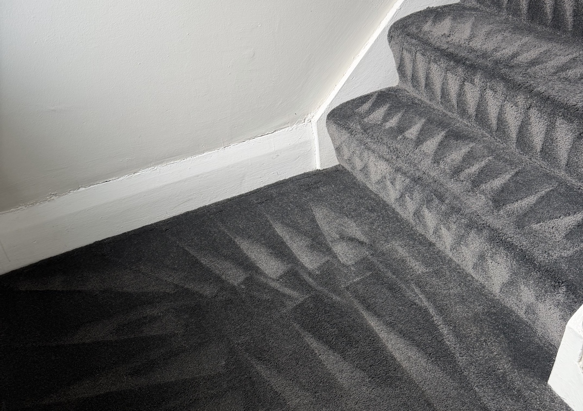 Carpet Clean 