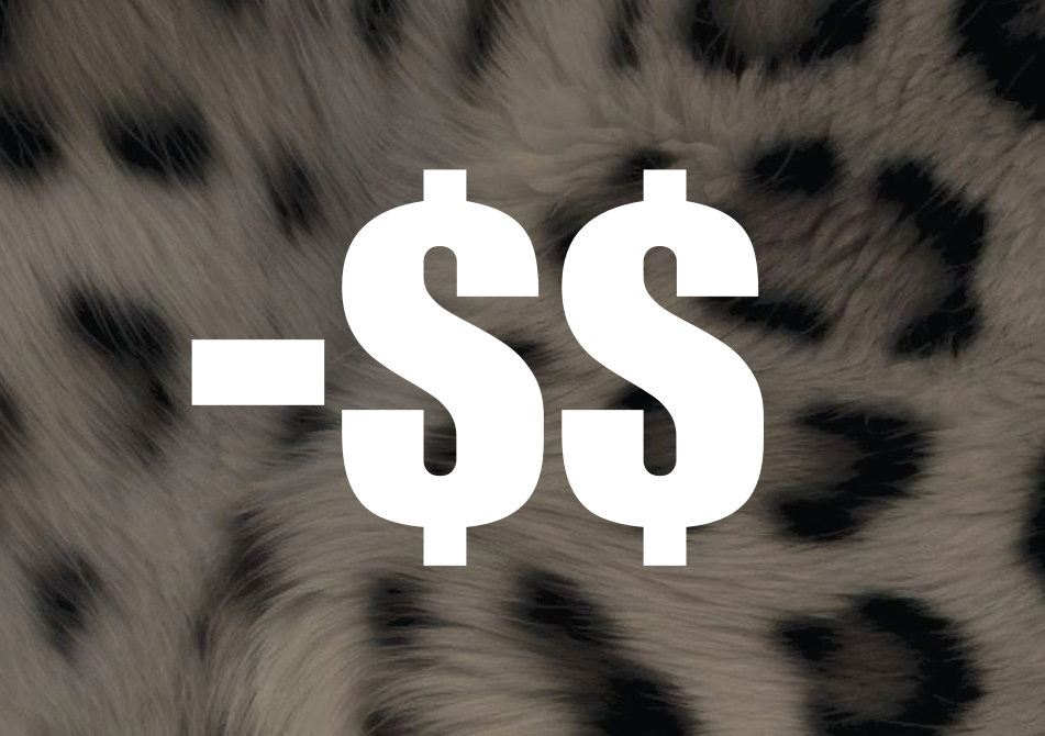 Insta Highlight Deal