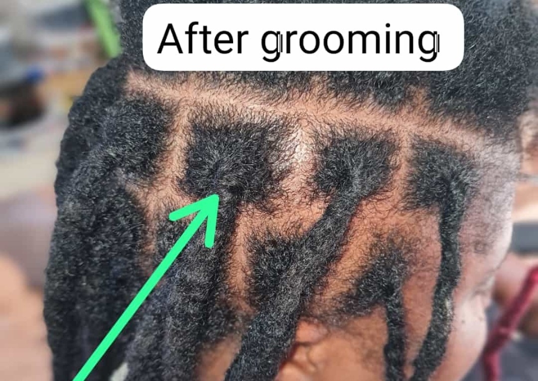 Loc grooming (growth only)