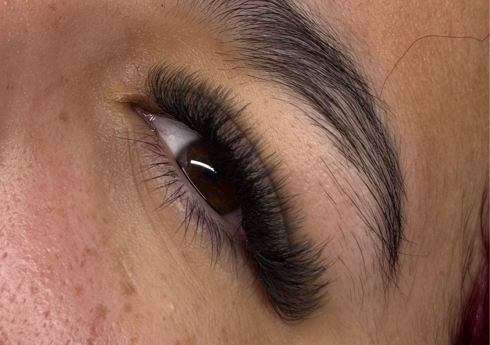 Full set volumen egipcio (WW)