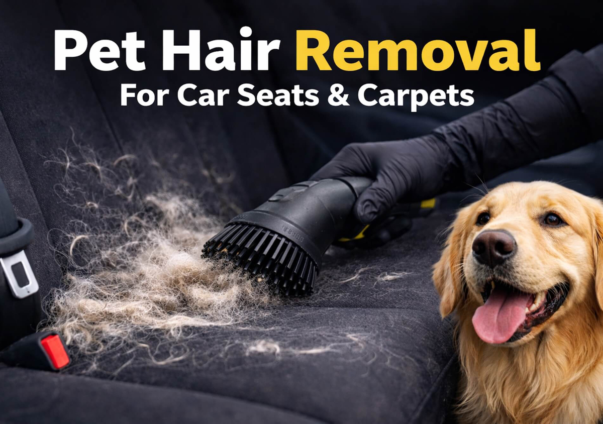 Pet Hair Removal