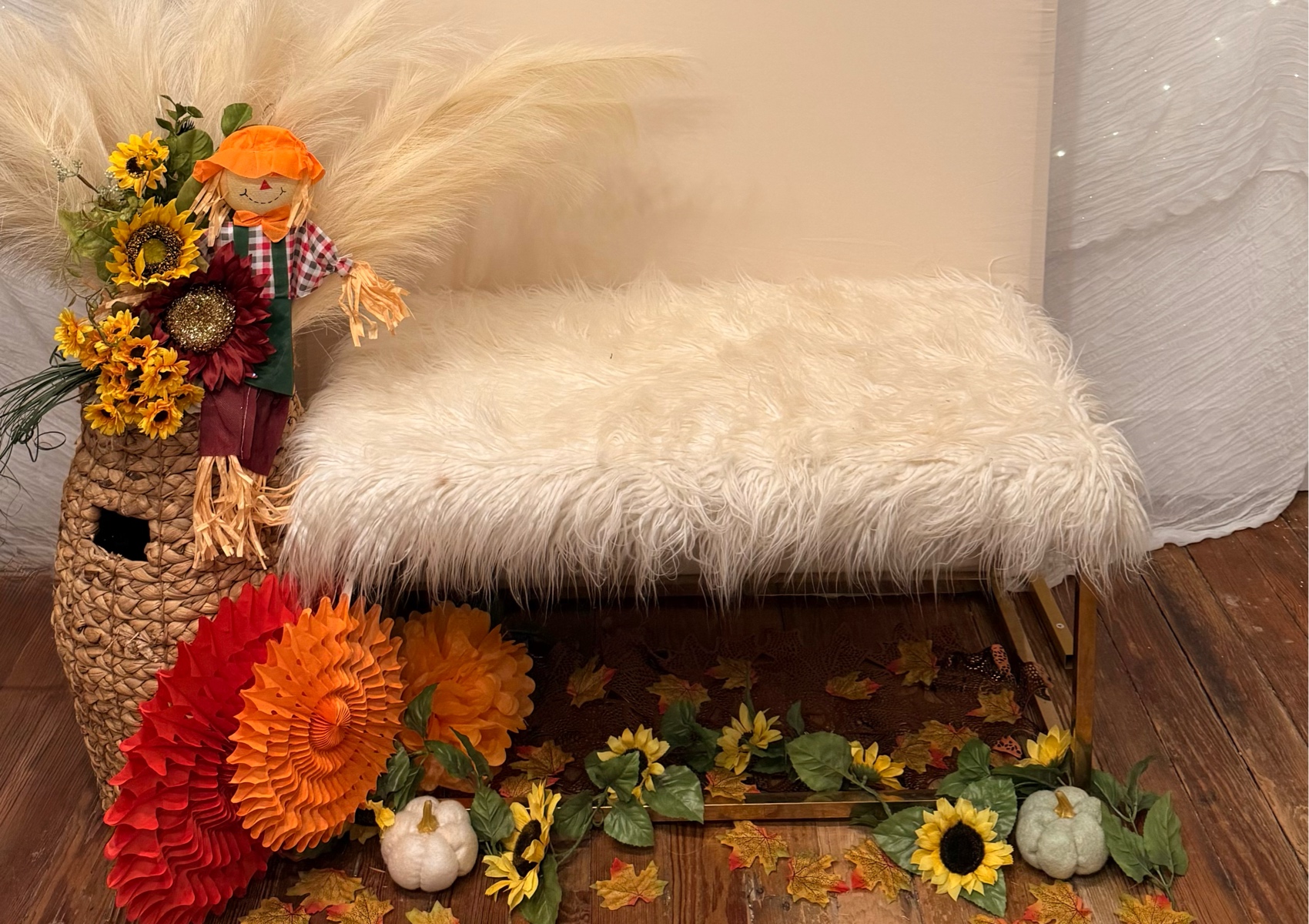 Autumn mini sessions. 