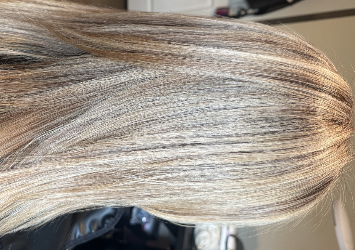 Highlights