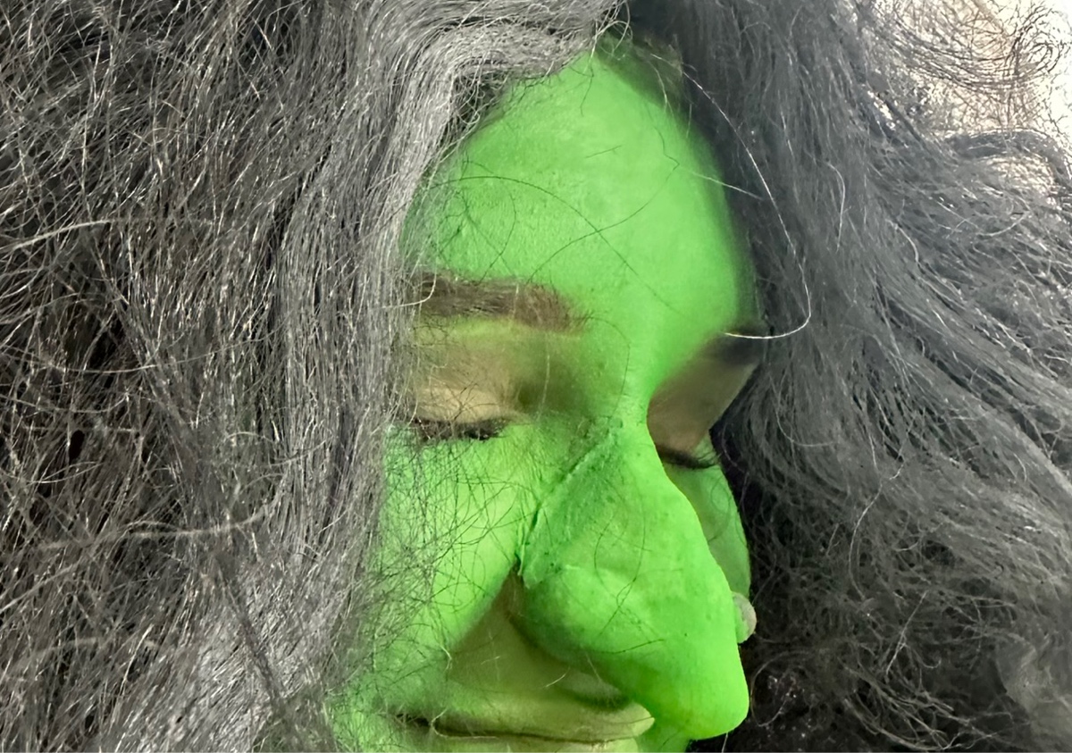 Prosethic Witch Nose & Chin