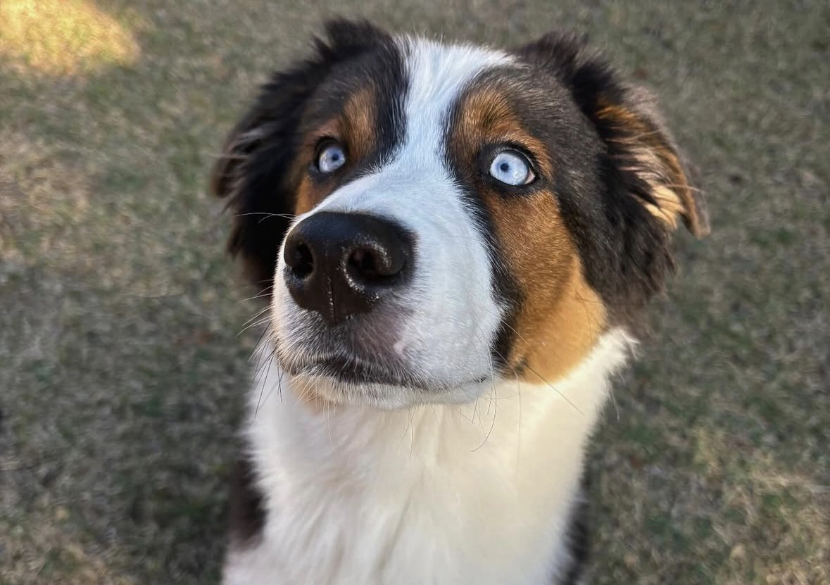 Full Day Almost Overnight