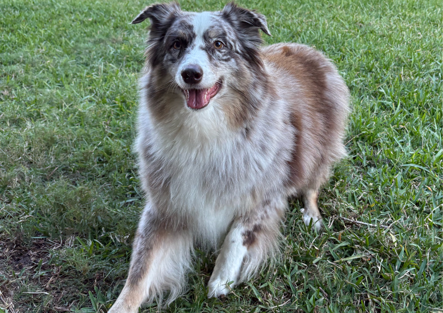 Almost Overnight Drop In