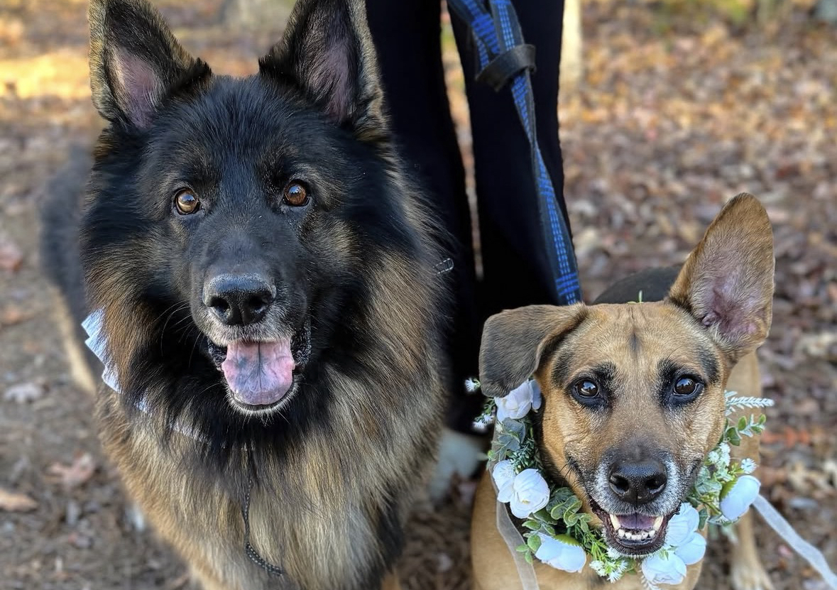 Wedding Consultation