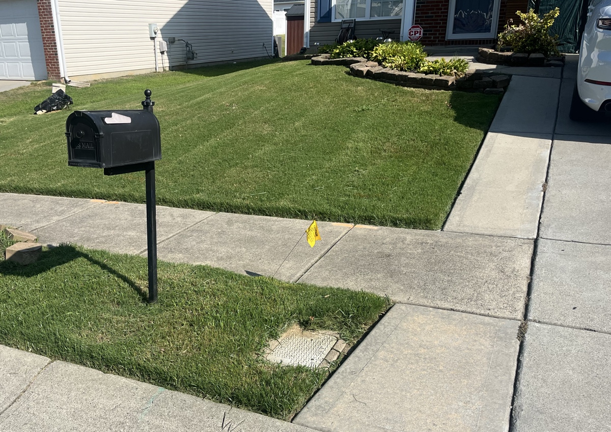 Grass cut and edge