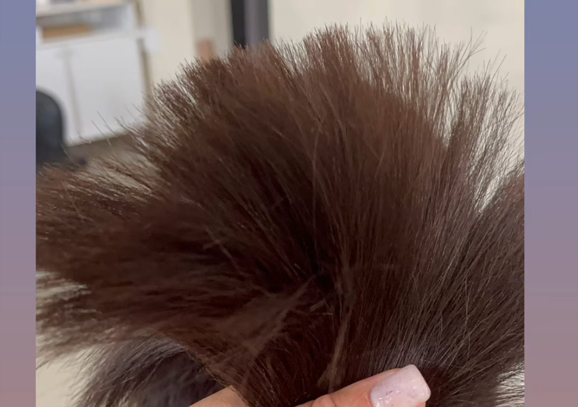 Lavado & corte de puntas