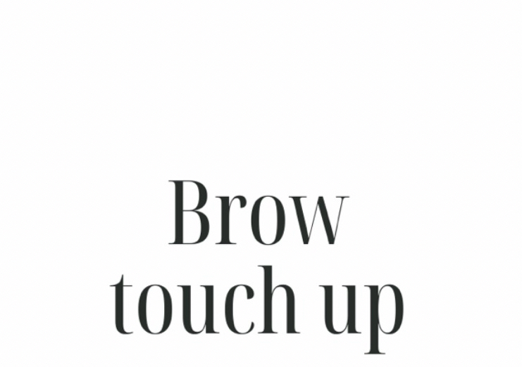 Brow touch up 