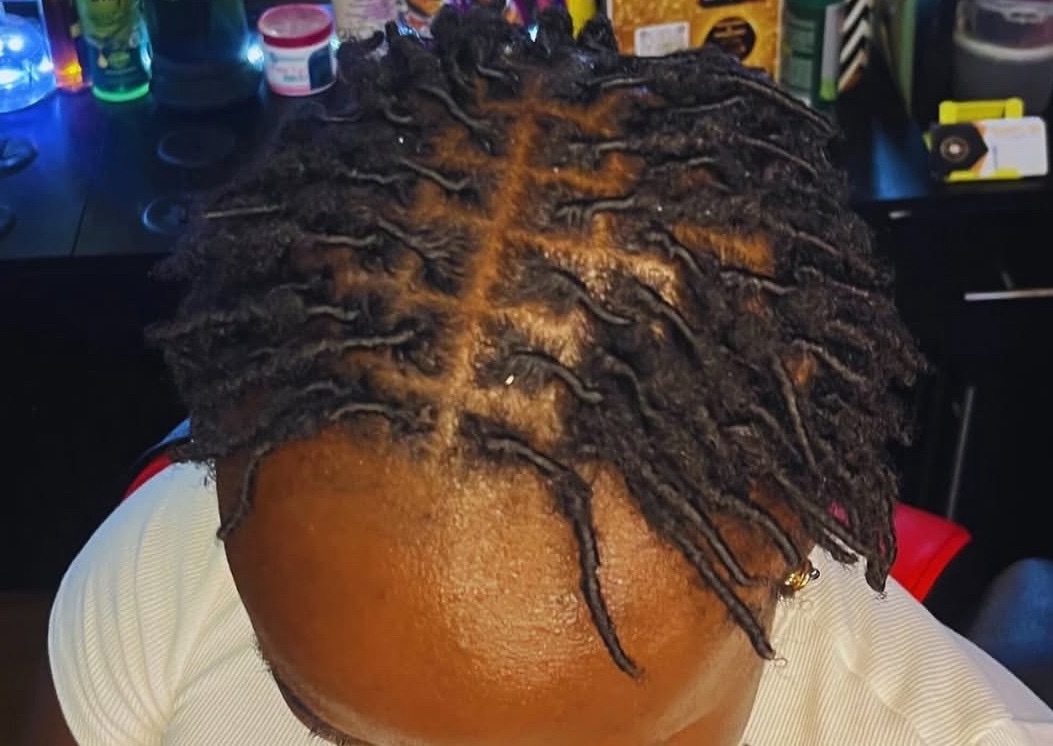 Starter Locs