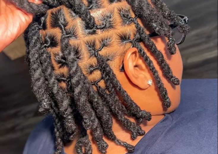Two Strand Twist Locs