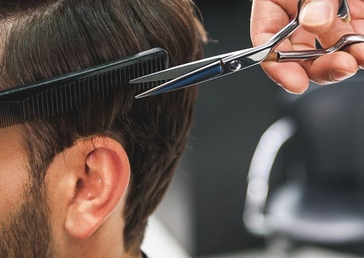 Scissor Haircut & Beard Grooming 