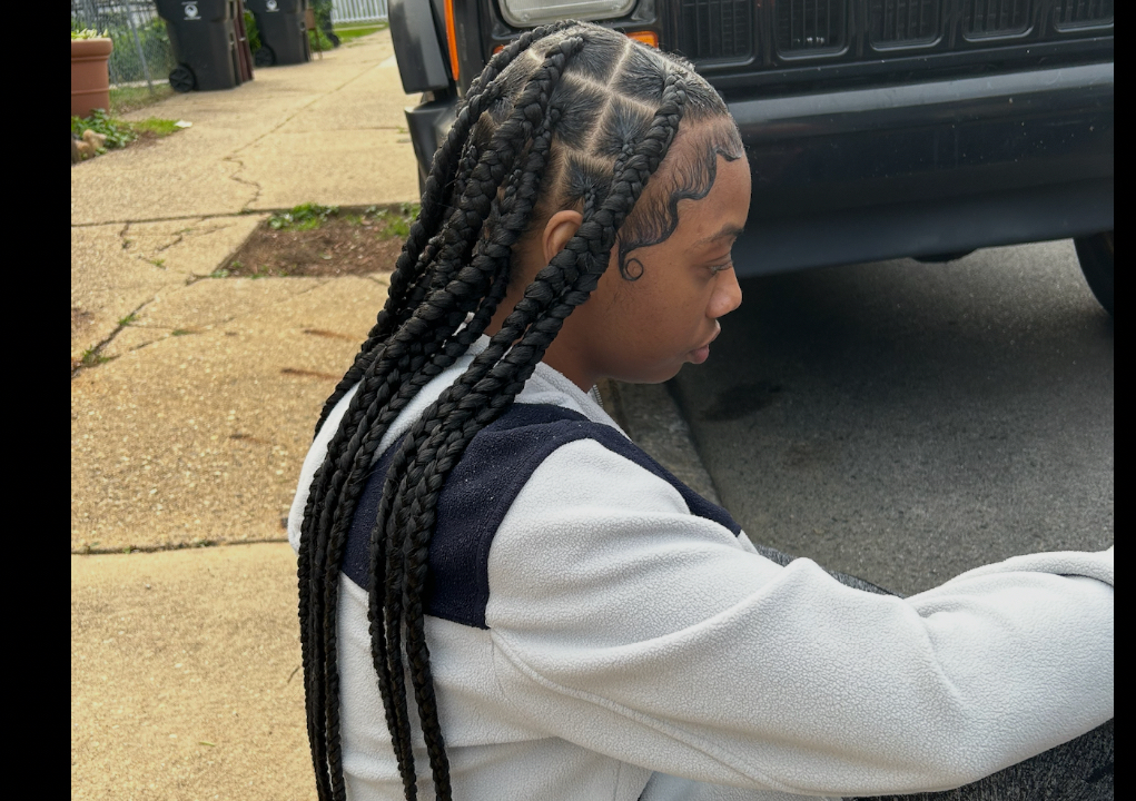 Knotless Braids | LARGE