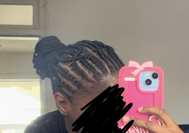 Tribal/Fulani Braids  (2/2)