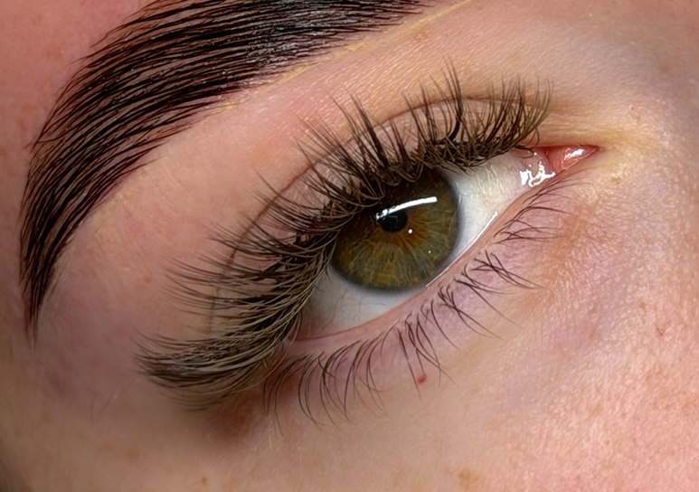 Brown lashes 