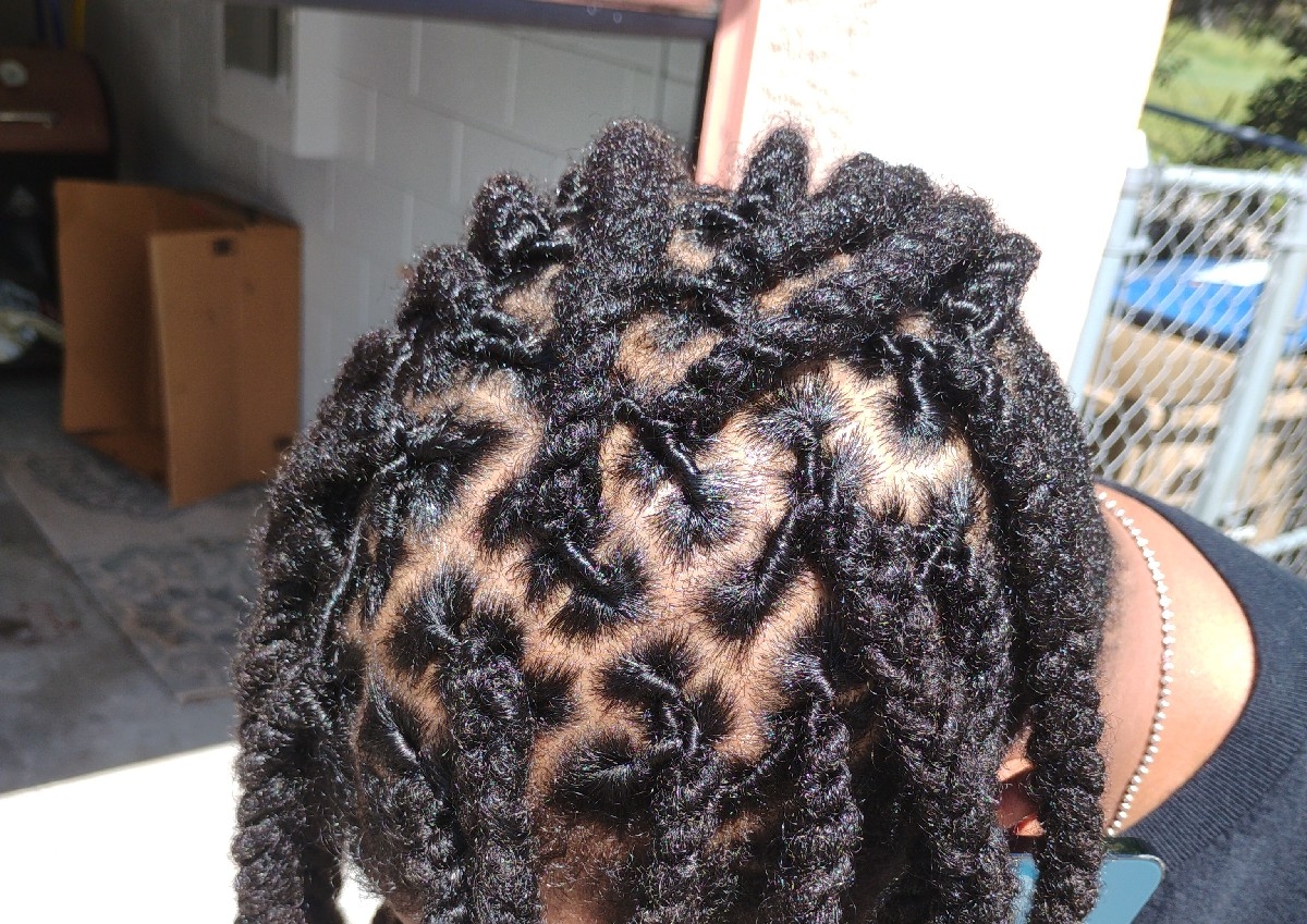 Loc retwist