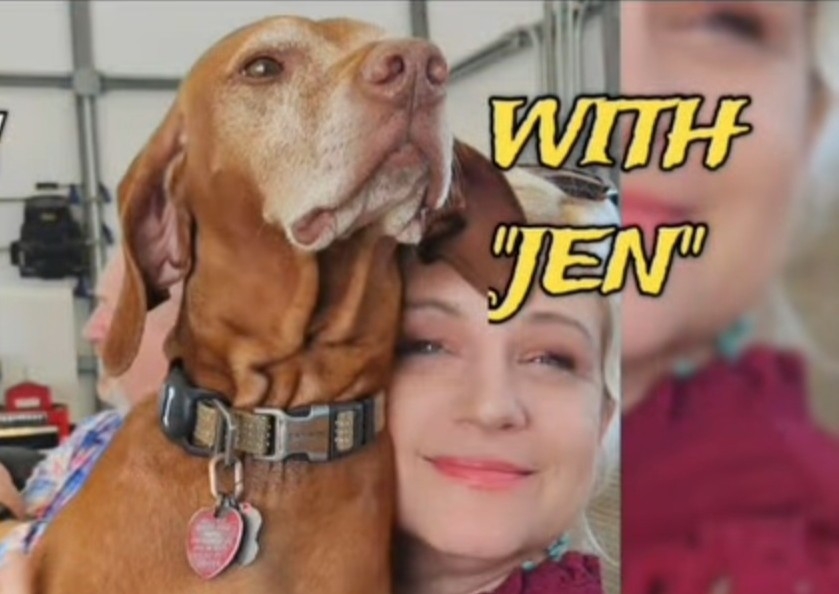 KATA - NIGHT - 24 HR DOG BOARDING