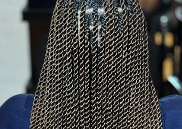 Vanilles taille moyenne (55cm)