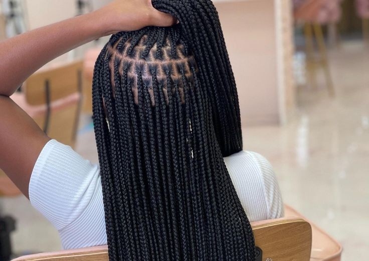 Braids taille fine longueur bas du dos