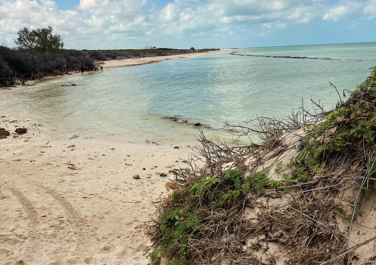 Premium Transformational Experience