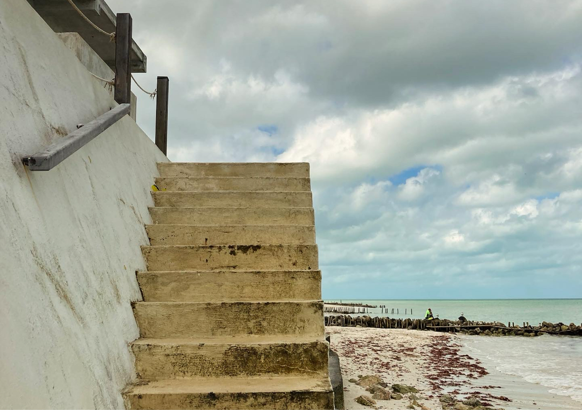 Myco ~Medicinal Consultation 