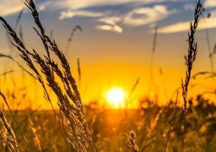 Sound Medicine / Sonic Healing Sesh