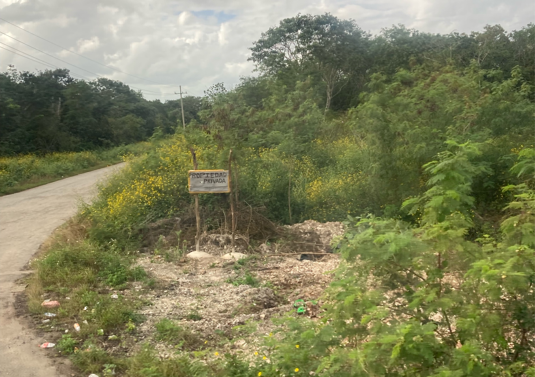 Gallery Visit /  Online /  Virtual Shopping 