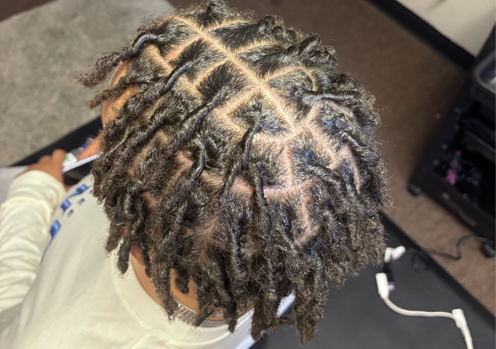 Starter Locs 