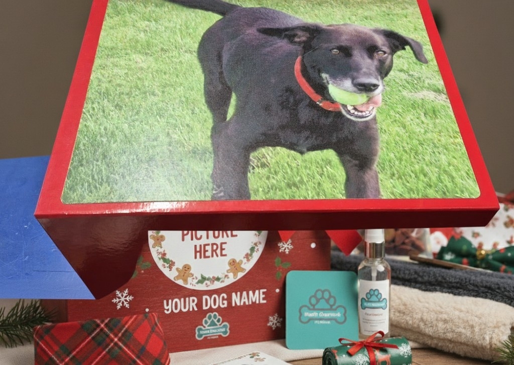 Christmas Eve Boxes 📦 