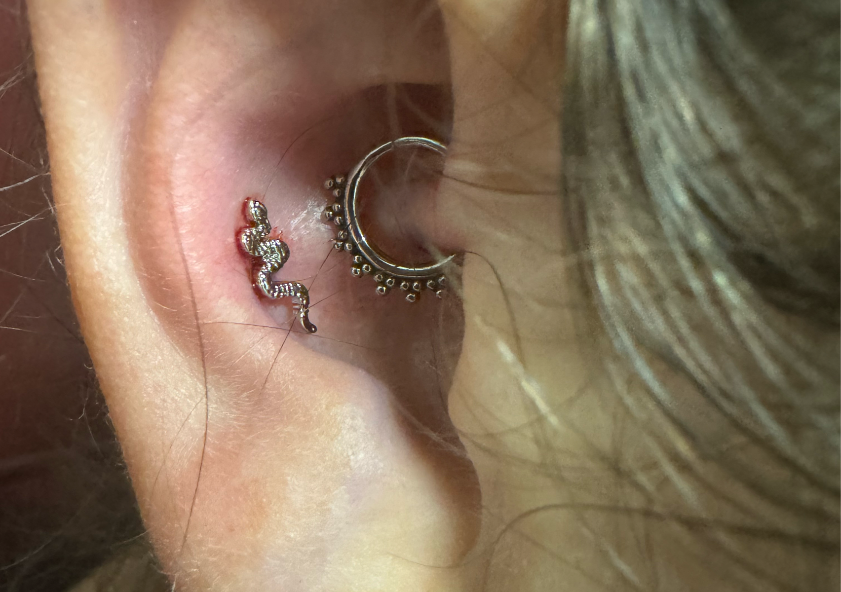 Double cartilage Piercing