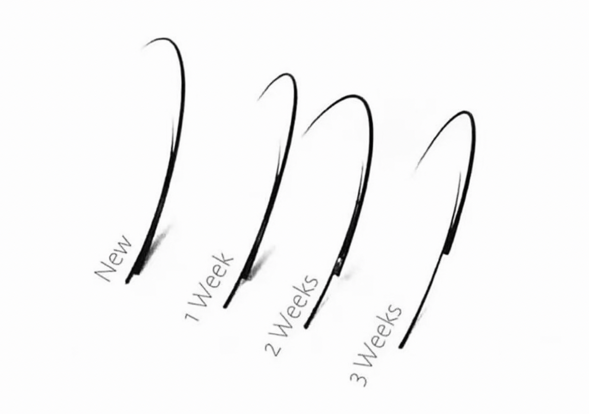 Wispy Anime 2 Week Fill-in