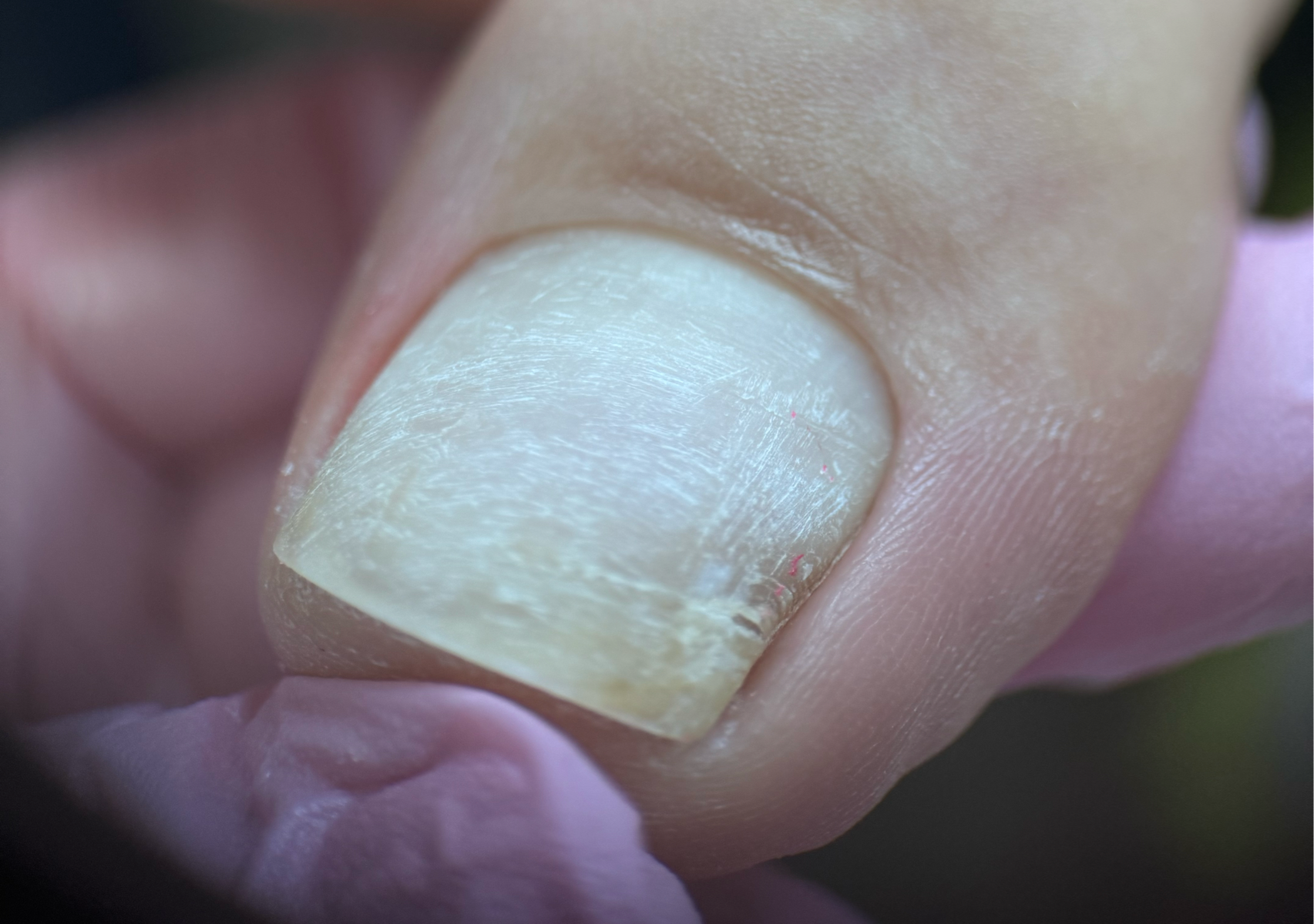 REGULAR PEDICURE (no polish, no gel) 