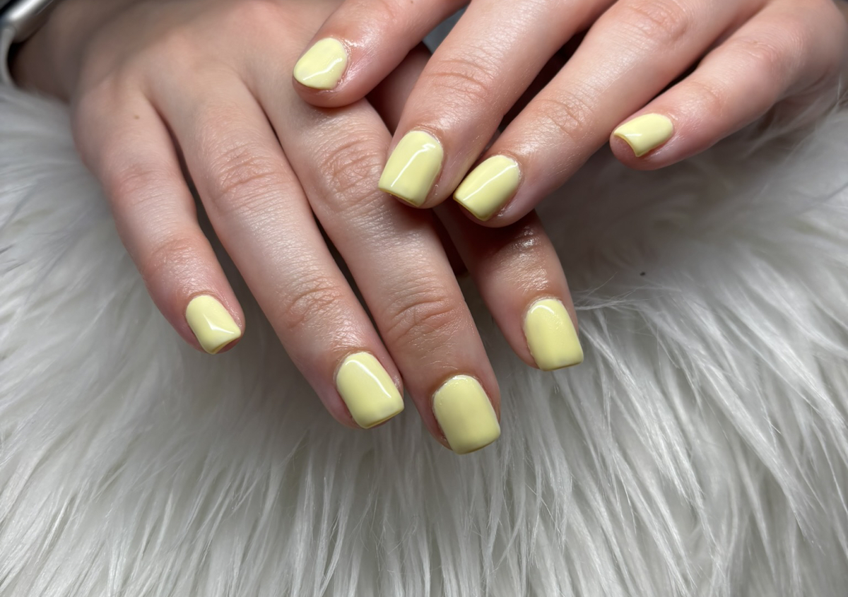 Builder gel Fill-in. (Solid Color) 