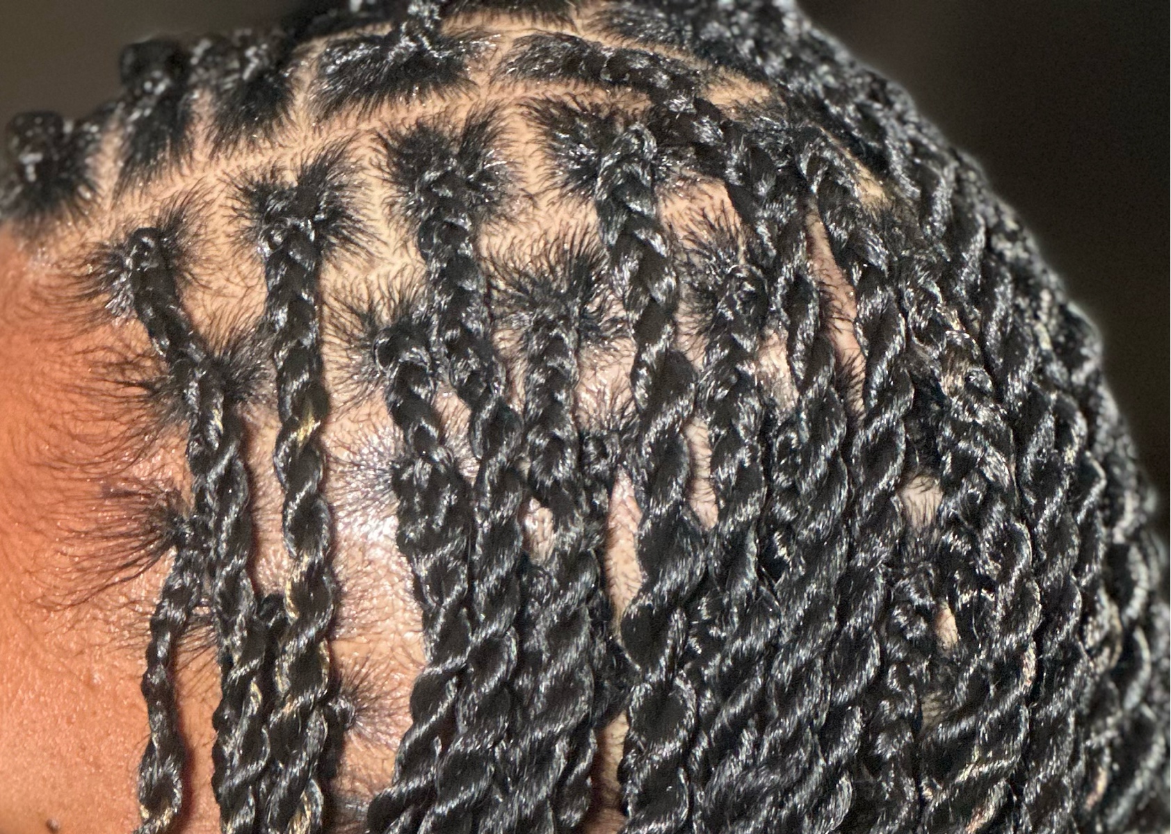 Loyal Member Senegalese/Marley Twist