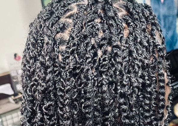 Faerie Queen Twist (X~Sm Passion Twist)